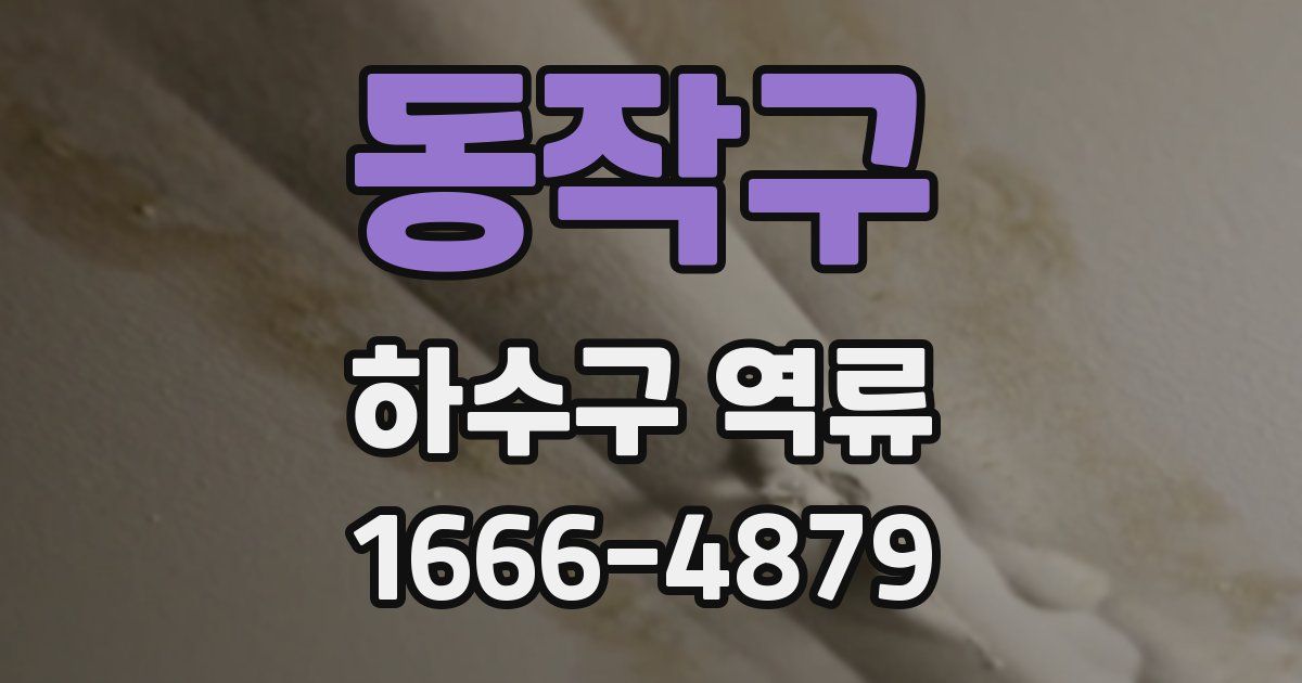 동작구 하수구 역류