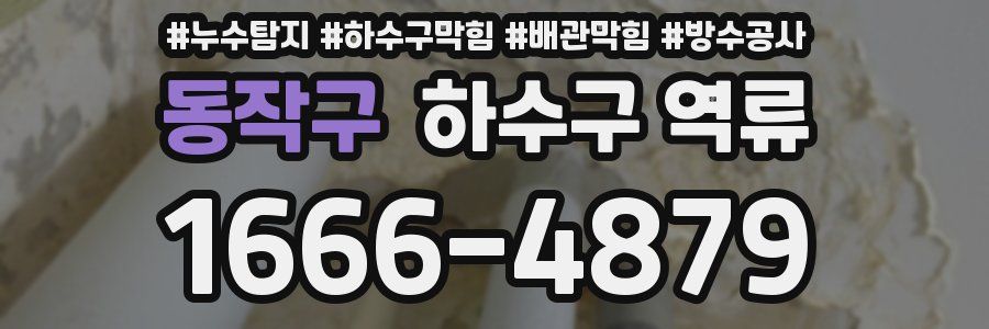 동작구 하수구 역류