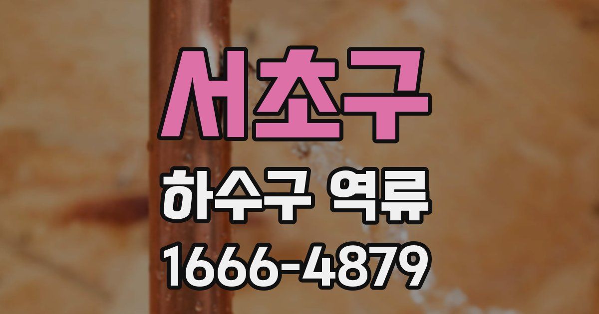 서초구 하수구 역류
