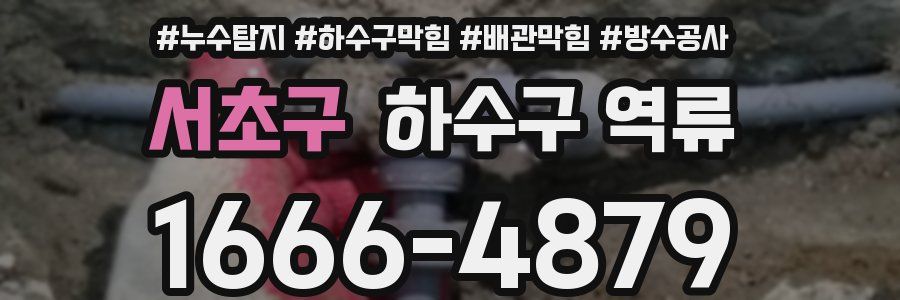 서초구 하수구 역류