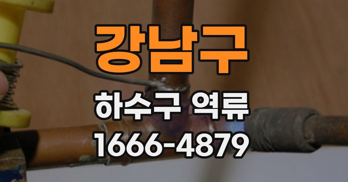 강남구 하수구 역류