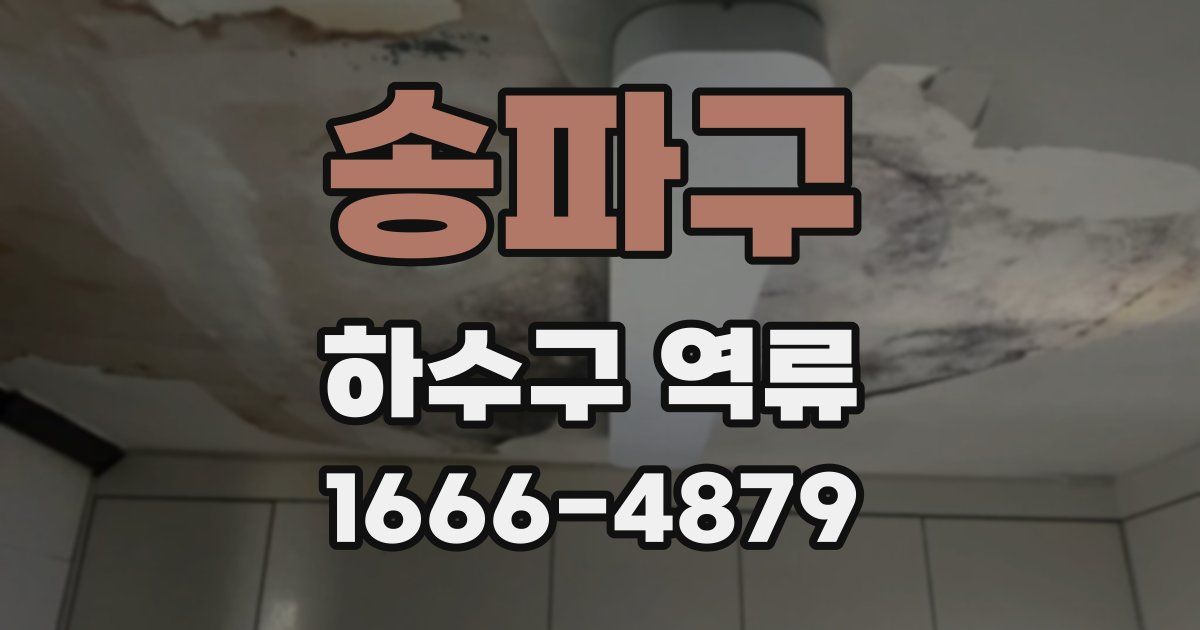 송파구 하수구 역류