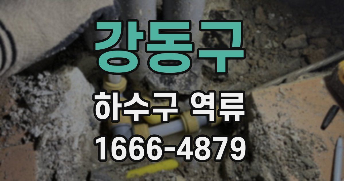 강동구 하수구 역류