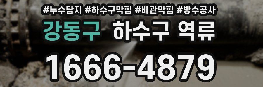 강동구 하수구 역류