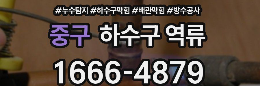 중구 하수구 역류
