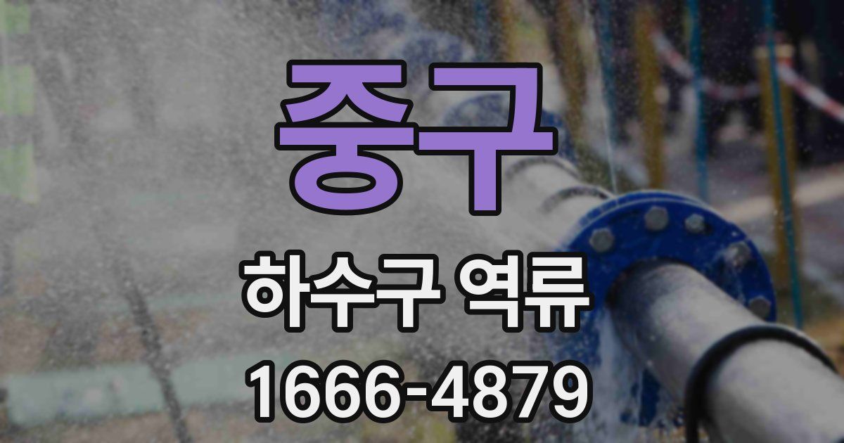 중구 하수구 역류