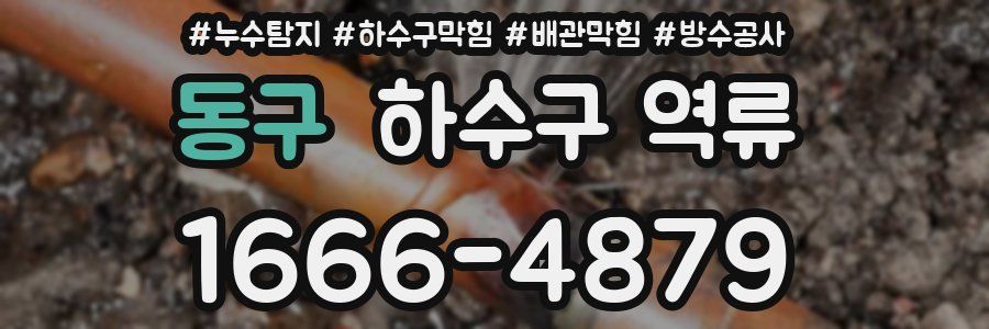 동구 하수구 역류