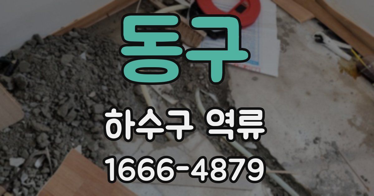 동구 하수구 역류
