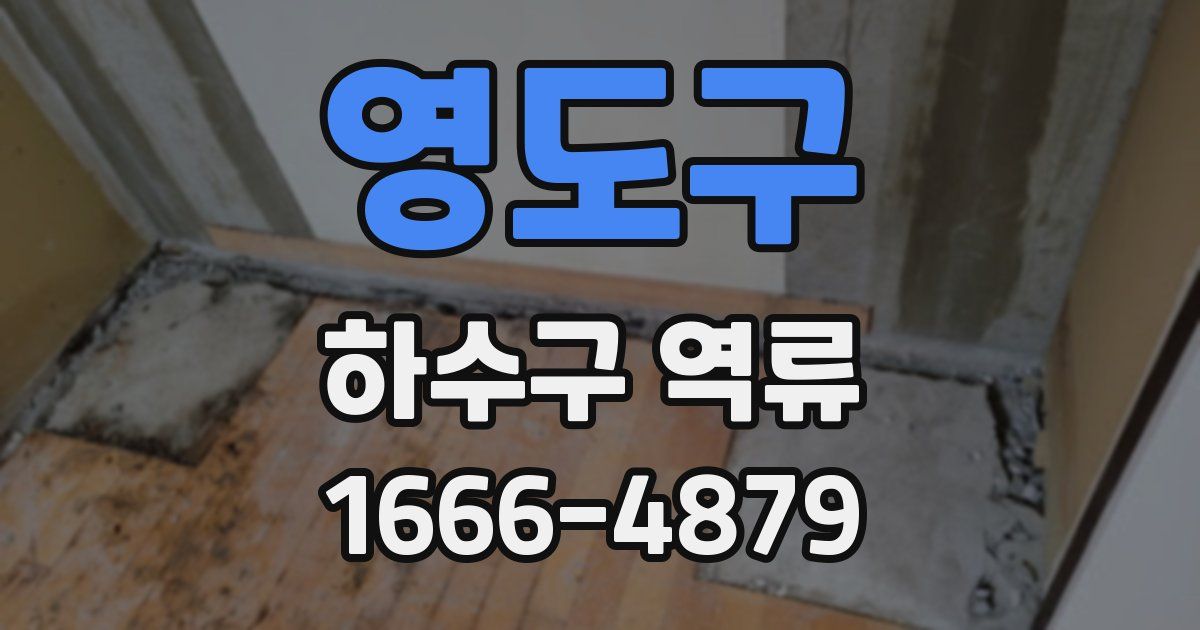 영도구 하수구 역류