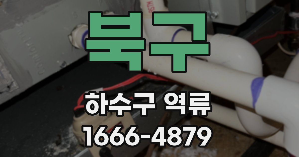 북구 하수구 역류
