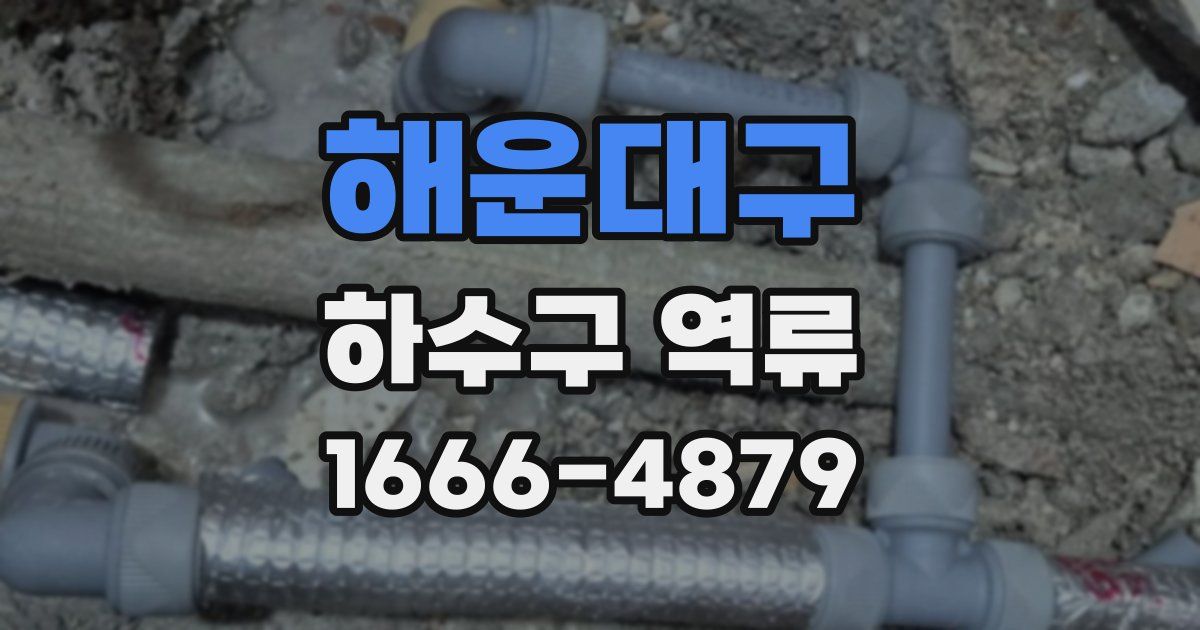 해운대구 하수구 역류