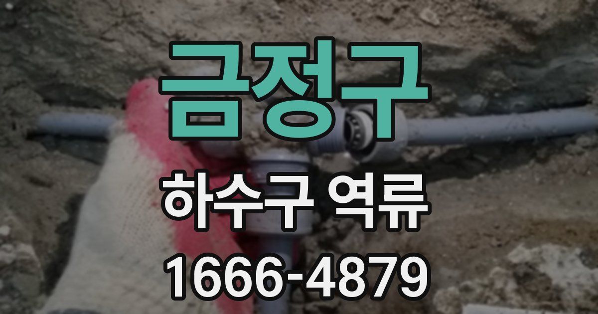 금정구 하수구 역류
