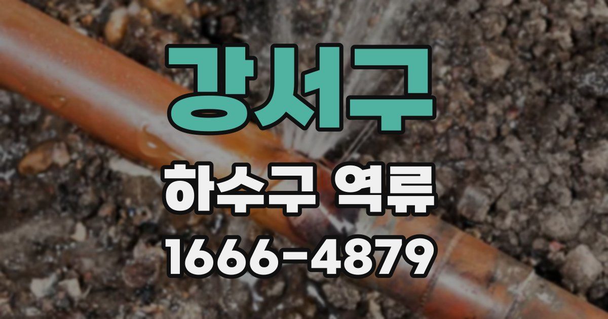 강서구 하수구 역류