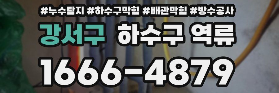 강서구 하수구 역류