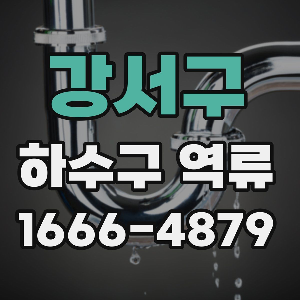 강서구 하수구 역류