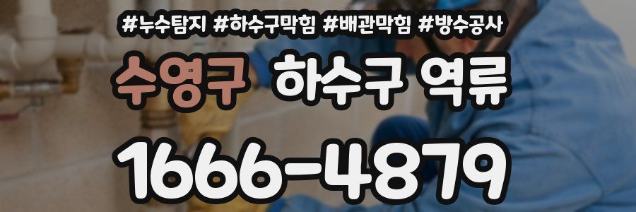 수영구 하수구 역류