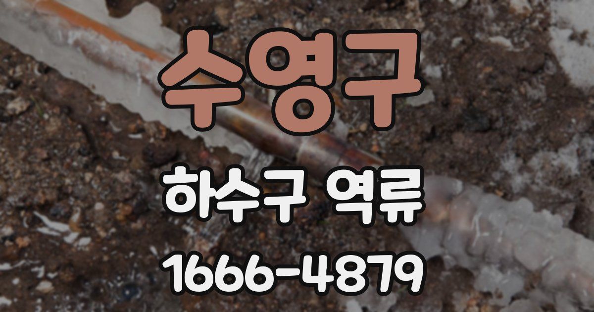 수영구 하수구 역류