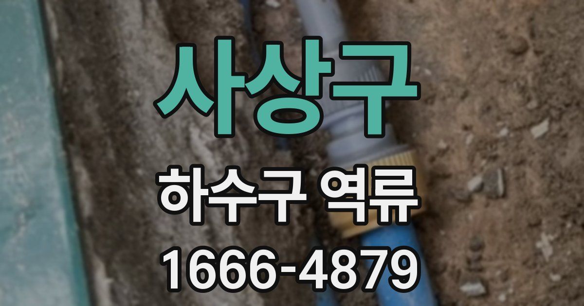 사상구 하수구 역류
