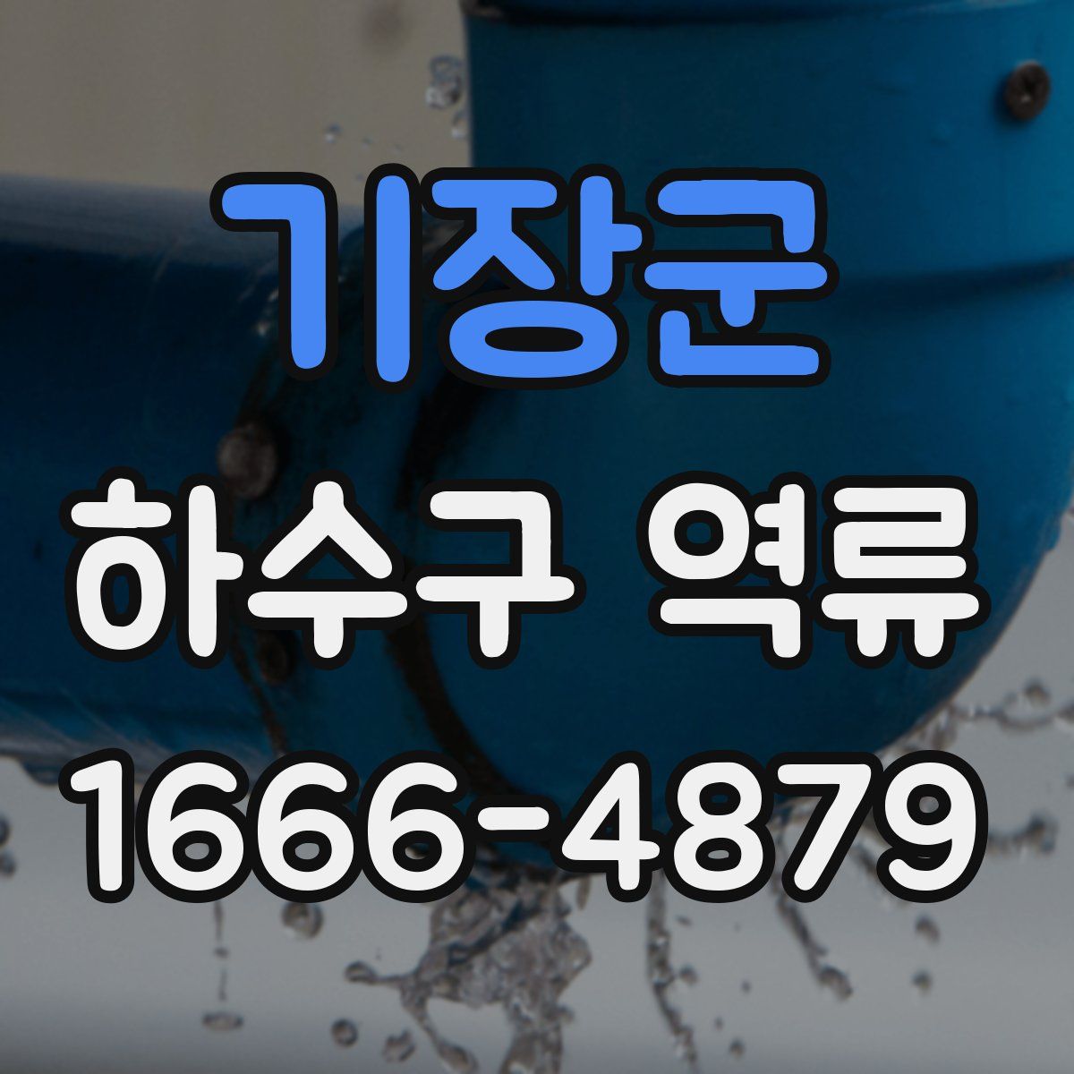 기장군 하수구 역류