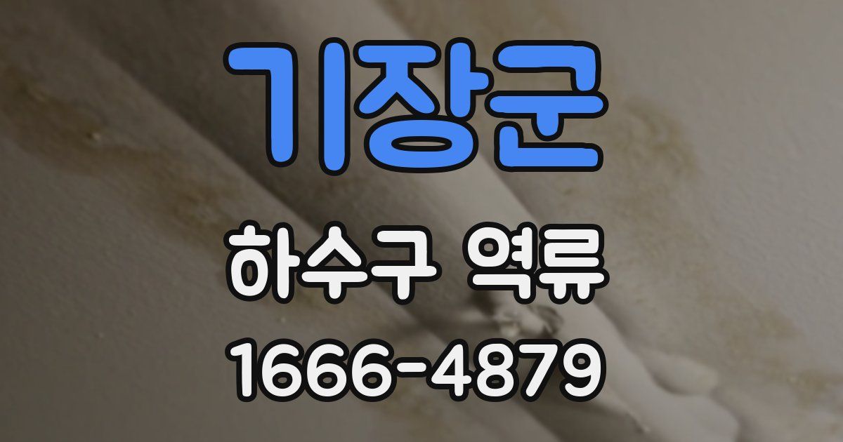 기장군 하수구 역류
