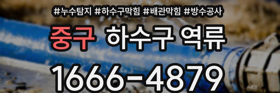 중구 하수구 역류