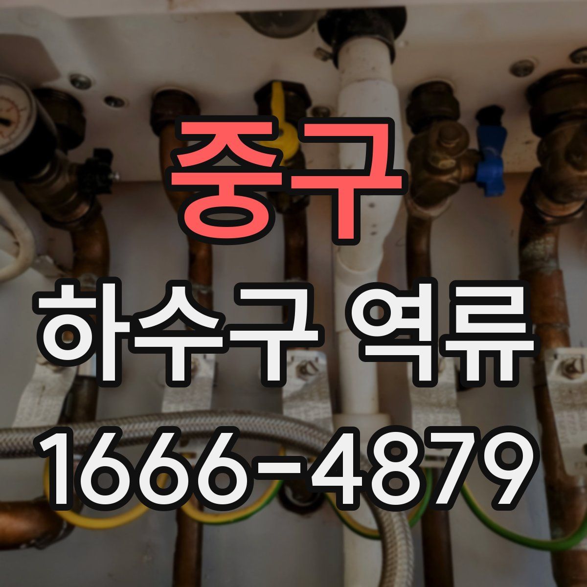 중구 하수구 역류