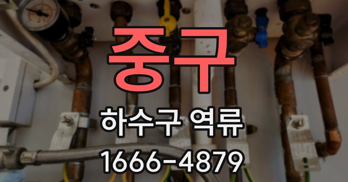 중구 하수구 역류