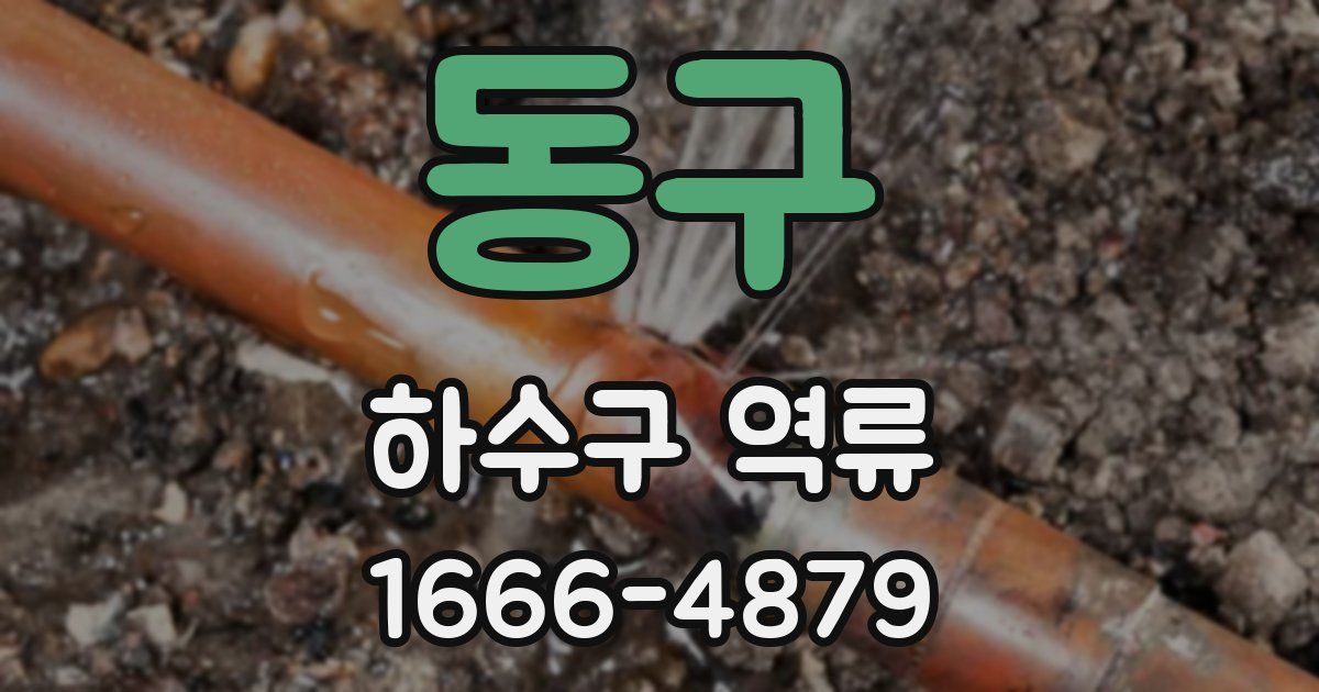 동구 하수구 역류