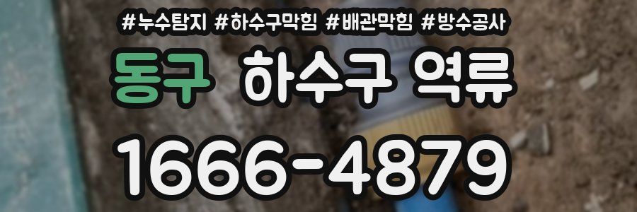 동구 하수구 역류