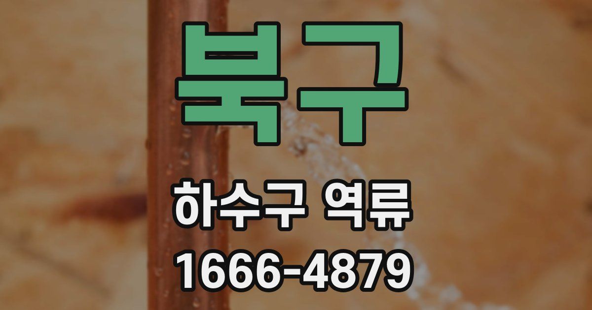 북구 하수구 역류