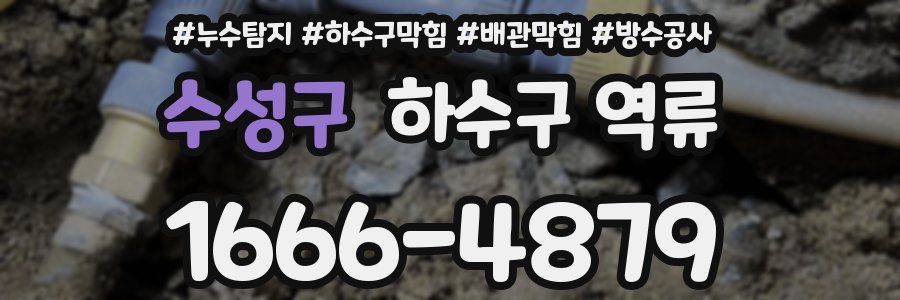 수성구 하수구 역류