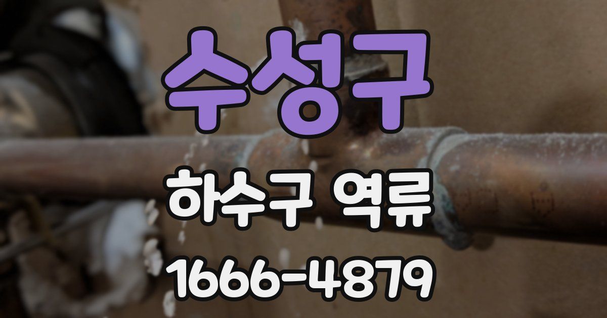 수성구 하수구 역류