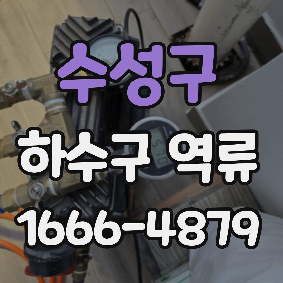 수성구 하수구 역류