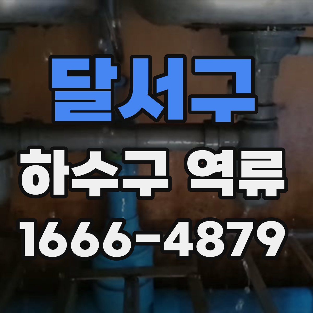 달서구 하수구 역류