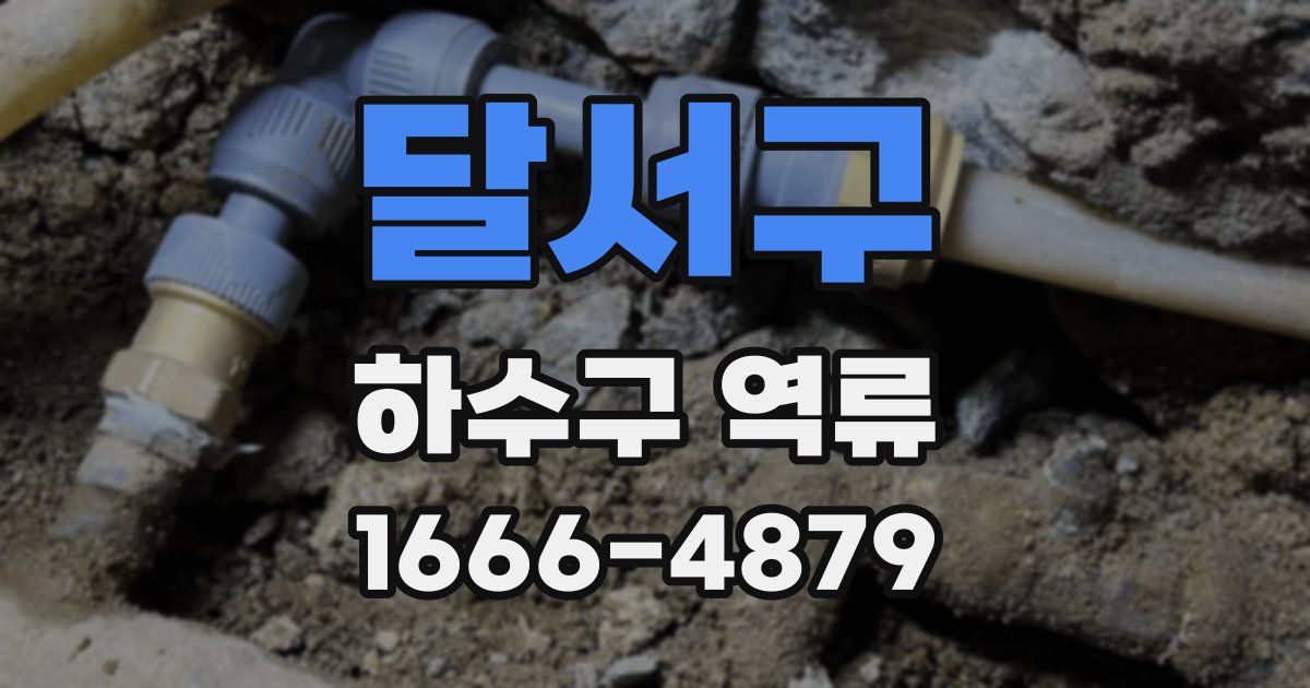달서구 하수구 역류