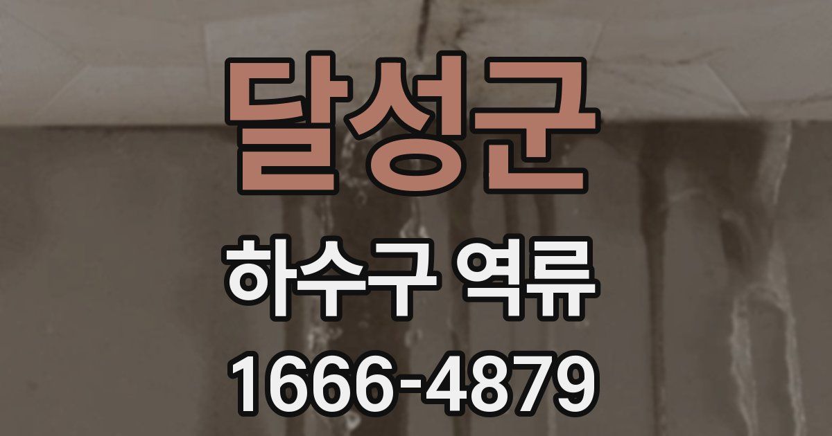 달성군 하수구 역류
