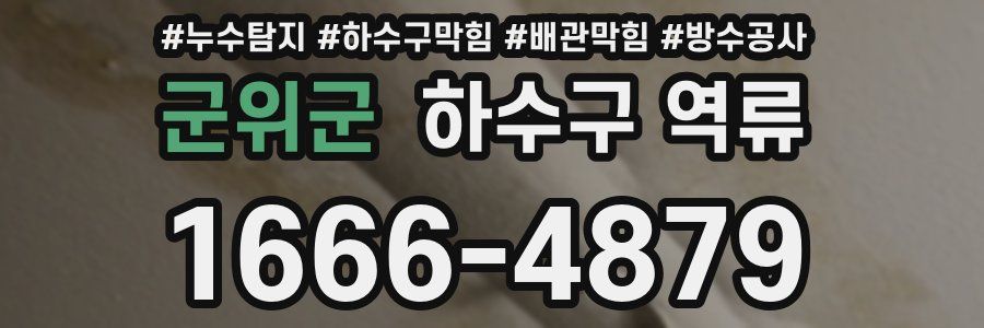 군위군 하수구 역류