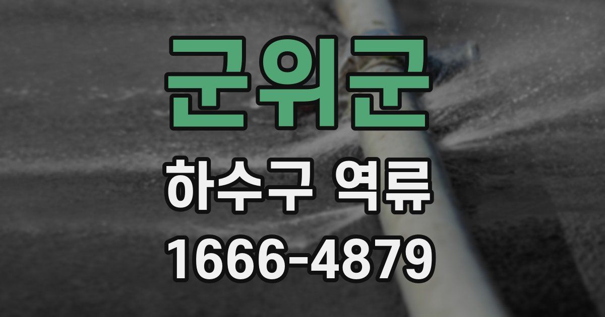 군위군 하수구 역류