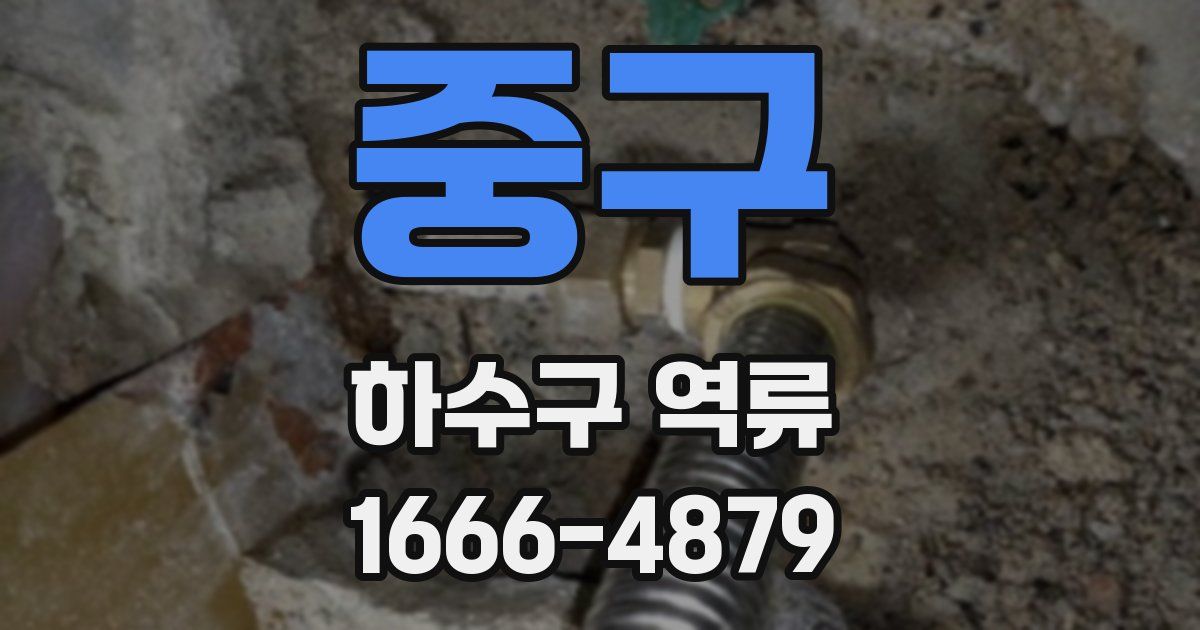 중구 하수구 역류