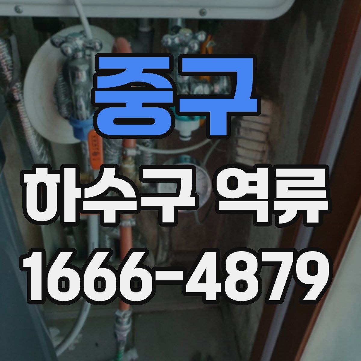 중구 하수구 역류