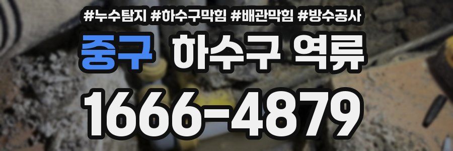 중구 하수구 역류