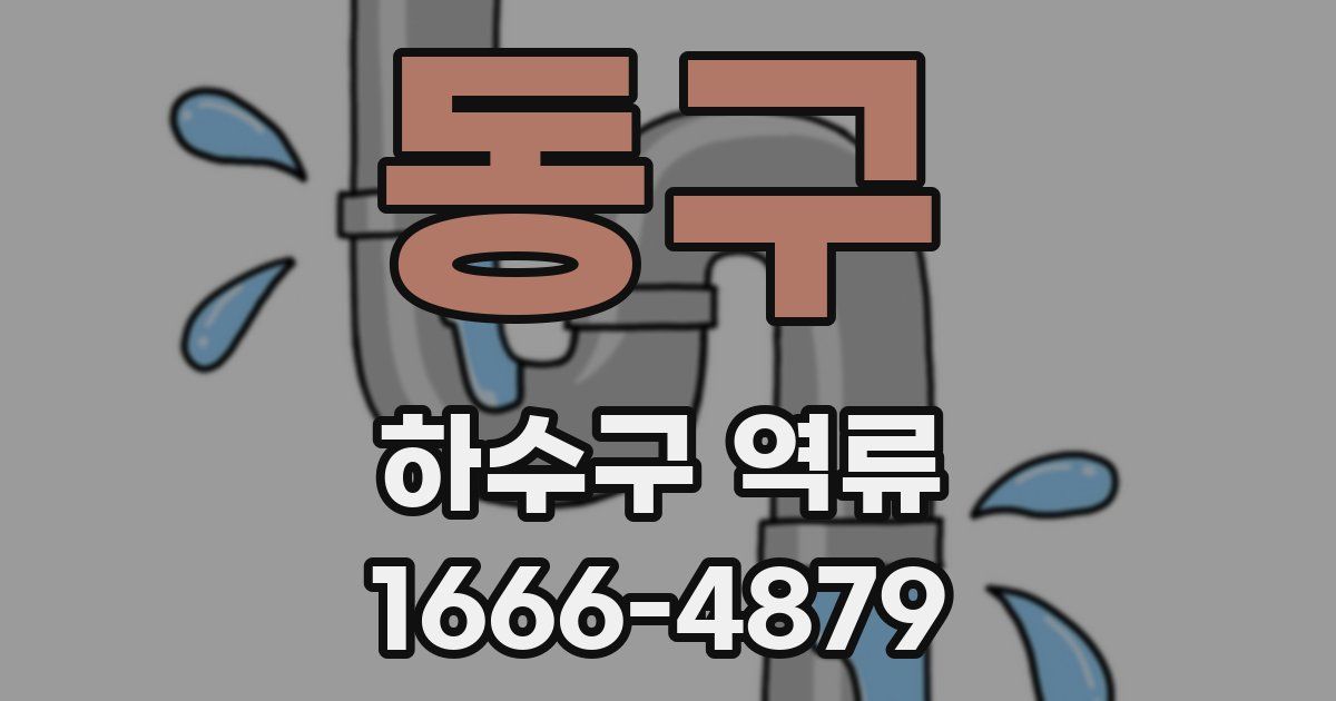 동구 하수구 역류