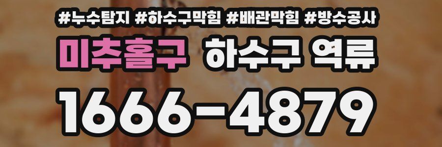 미추홀구 하수구 역류