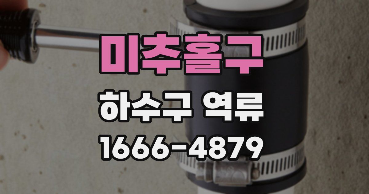 미추홀구 하수구 역류