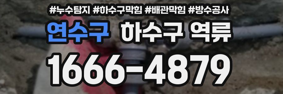 연수구 하수구 역류