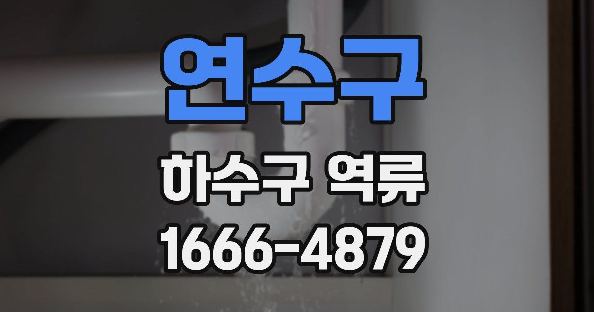 연수구 하수구 역류