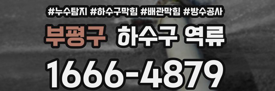 부평구 하수구 역류