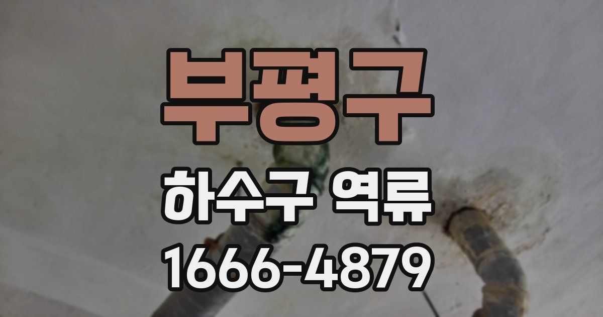 부평구 하수구 역류