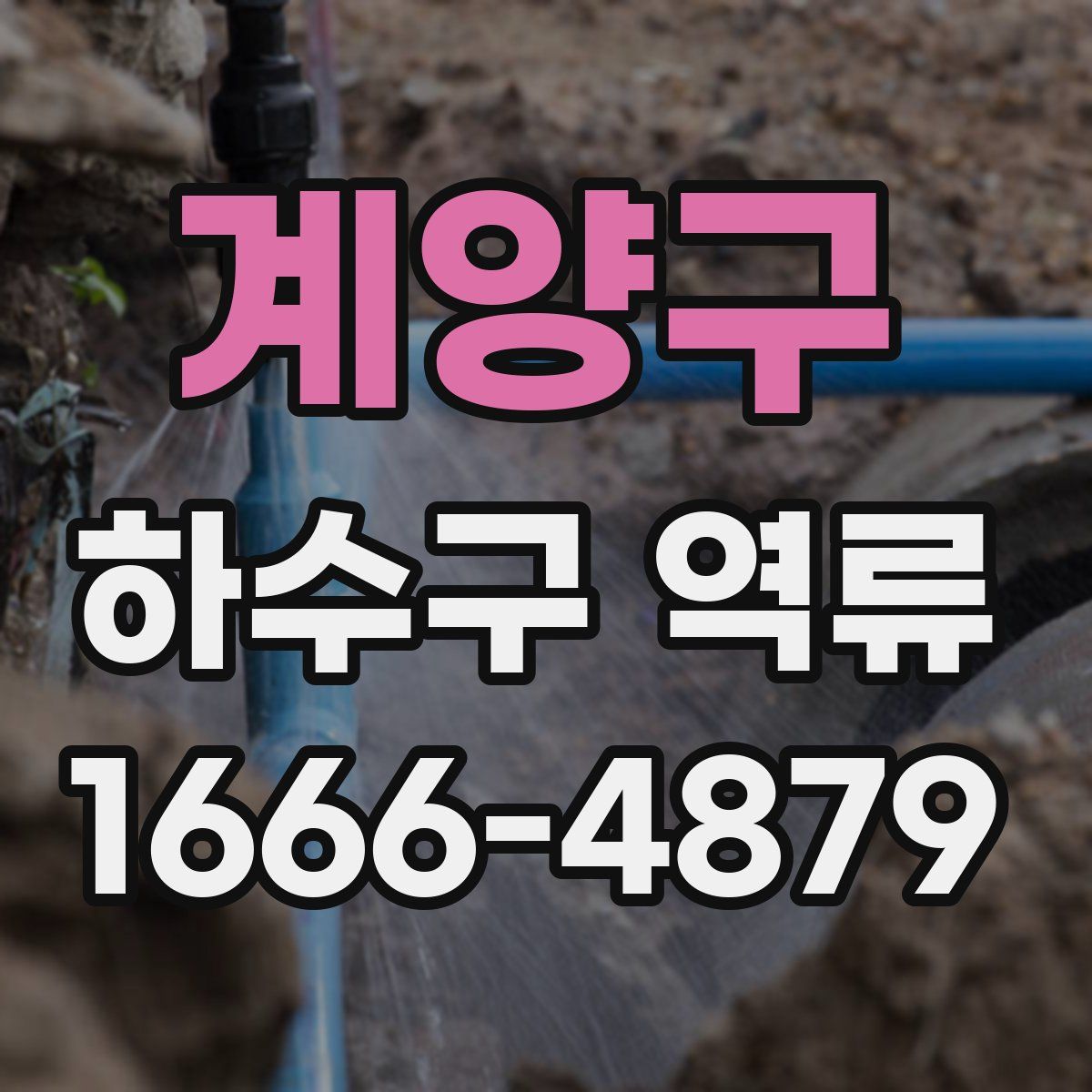 계양구 하수구 역류