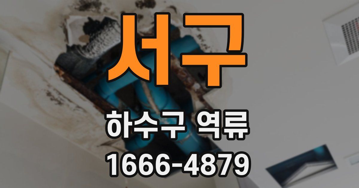 서구 하수구 역류